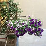 Rigoletto 3* Verona