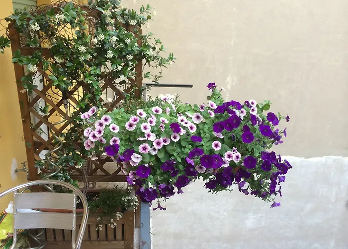 Rigoletto 3* ורונה