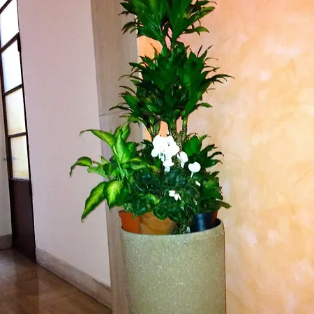 Rigoletto بيت ضيافة فيرونا