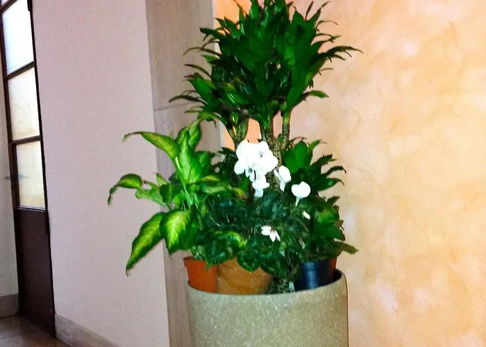 Rigoletto Pensionat Verona